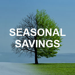 Seasonal Savings